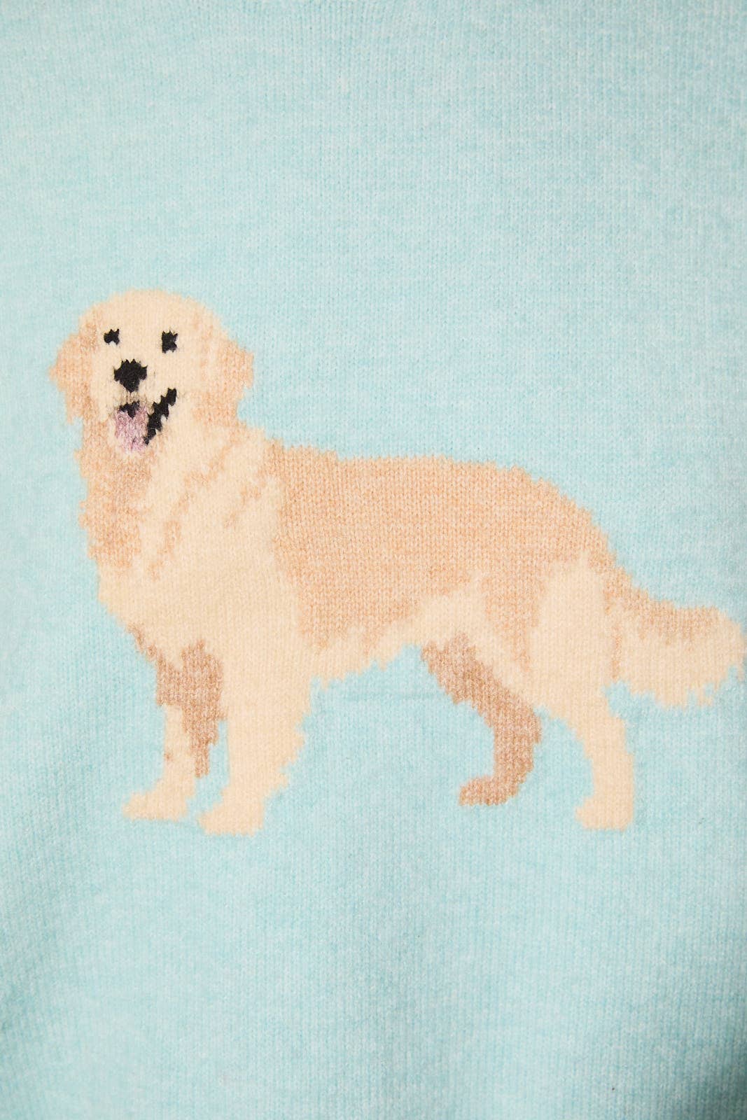 “RETRIEVER DOG" GRAPHIC LONG SLEEVE CREW NECK SWEATER: MINT